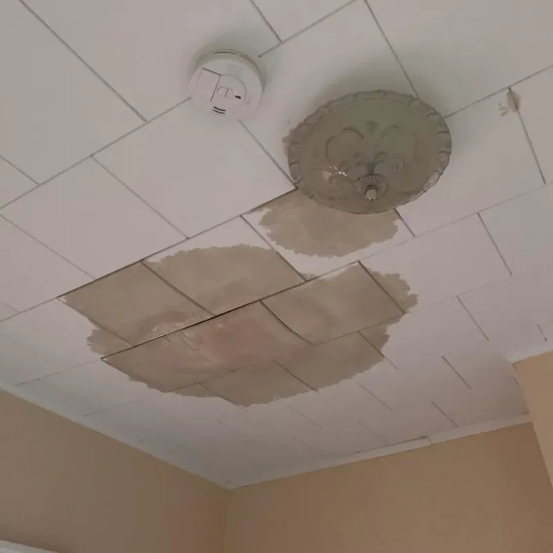 Ceiling Water Damage Repair in Franklin, VA