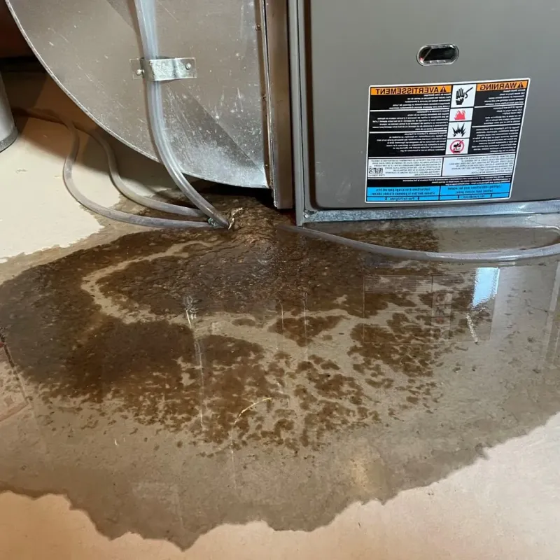 Pipe Burst and Leak Restoration in Franklin, VA
