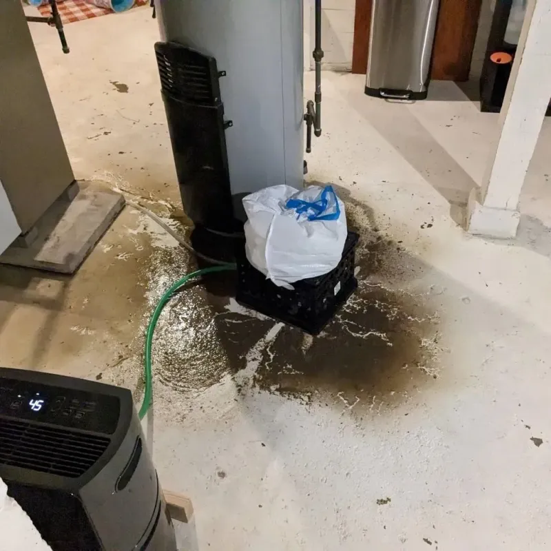 Sewage Backup Cleanup Service in Franklin, VA